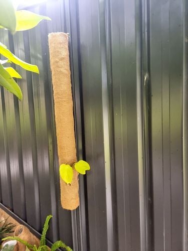 RobP_7-1721300899968.jpeg RobP_7-1721300899968.jpeg