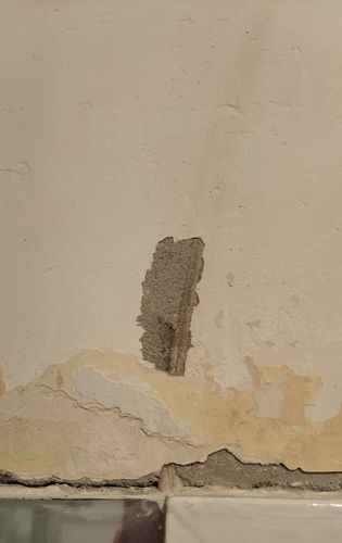 IMG_20240806_060056.jpg IMG_20240806_060056.jpg