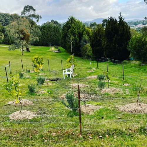 1B677F4B-545A-446B-8FA8-459FFD038045.jpeg 1B677F4B-545A-446B-8FA8-459FFD038045.jpeg