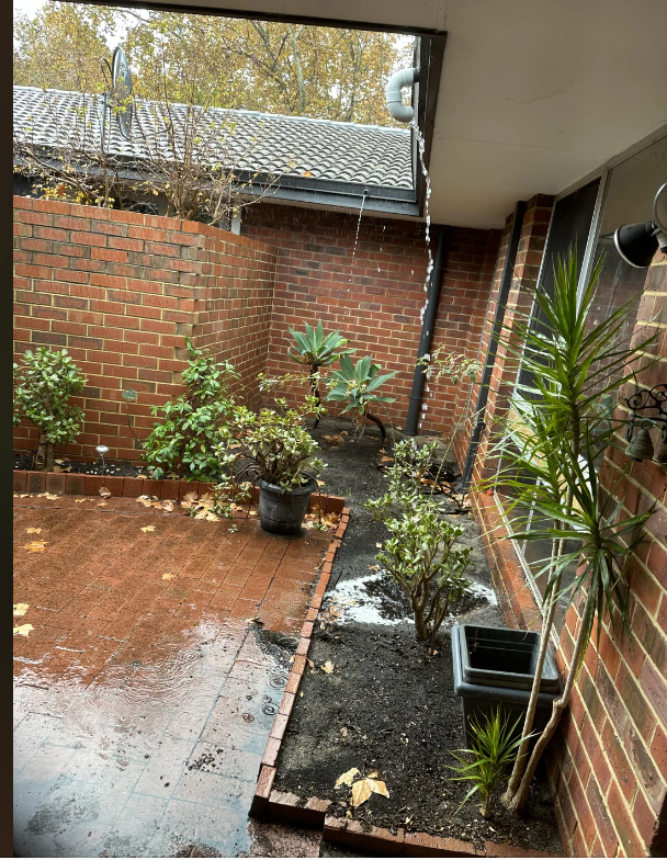 Screenshot 2024-06-10 at 8.34.58 PM.png Screenshot 2024-06-10 at 8.34.58 PM.png