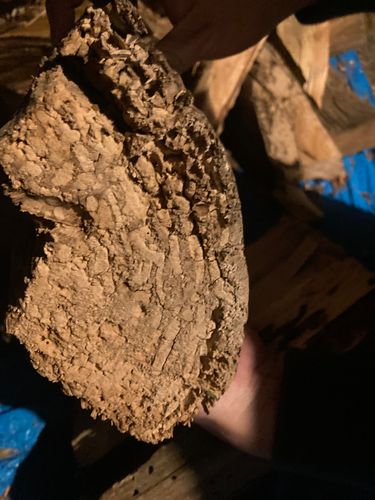 IMG_7611.jpeg IMG_7611.jpeg