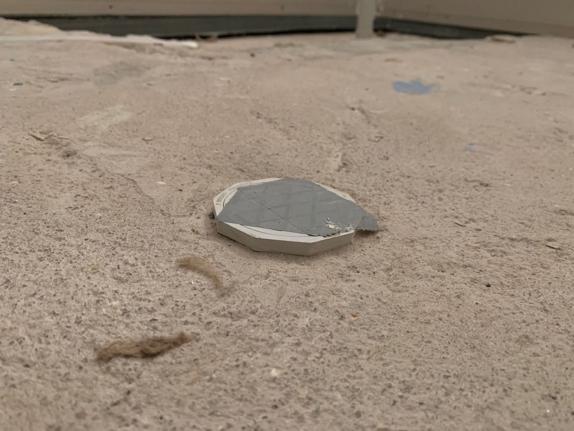 1AAA8950-D77C-4498-8E8E-B3C328EE1A75.jpeg 1AAA8950-D77C-4498-8E8E-B3C328EE1A75.jpeg