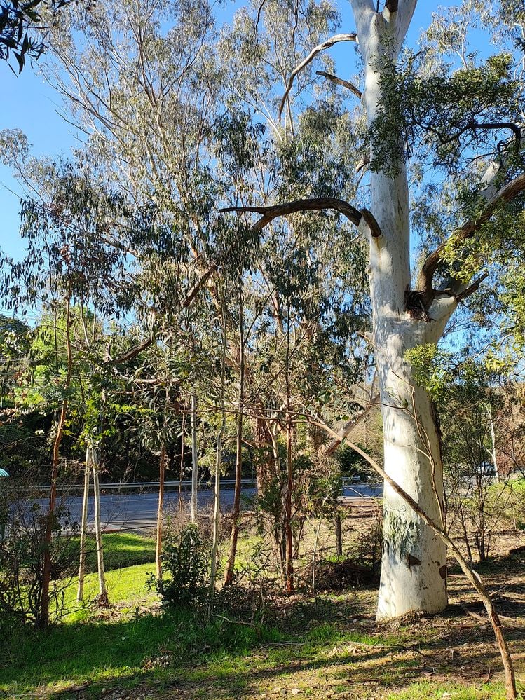 1000004220.jpg 1000004220.jpg