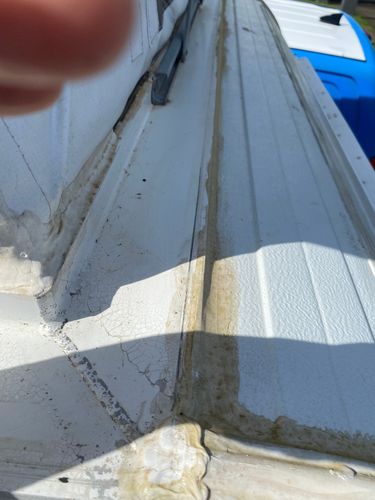 IMG_9633.jpeg IMG_9633.jpeg