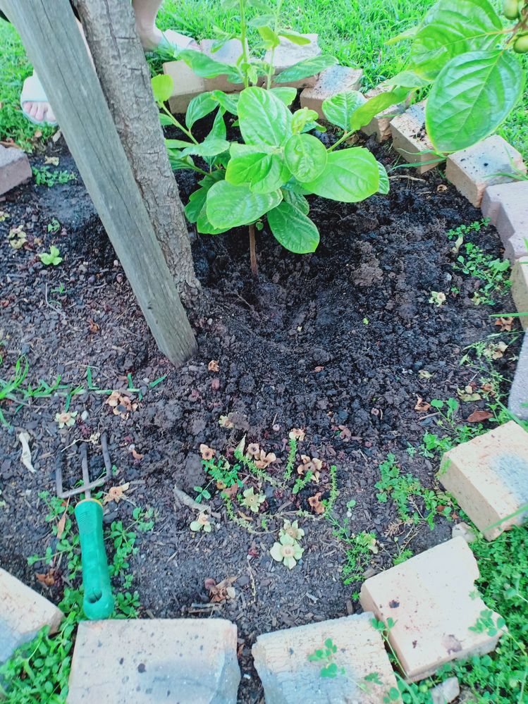 IMG20221203192112.jpg IMG20221203192112.jpg