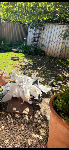 IMG_8651.png IMG_8651.png