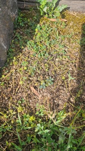 1000011484.jpg 1000011484.jpg