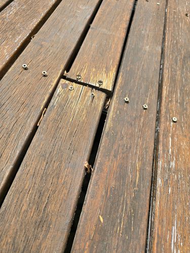 1000005584.jpg 1000005584.jpg