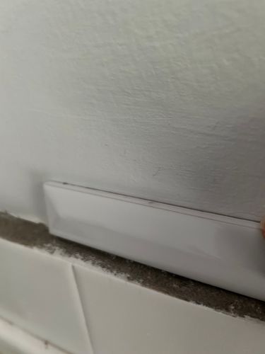 IMG_0522.jpeg IMG_0522.jpeg