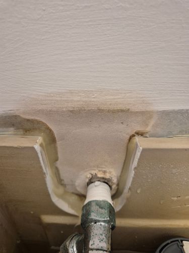 1000023984.jpg 1000023984.jpg