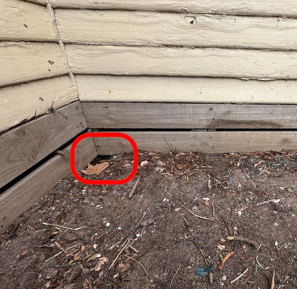 IMG_6839.jpeg IMG_6839.jpeg