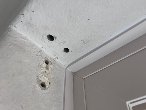 IMG_2499.jpeg IMG_2499.jpeg