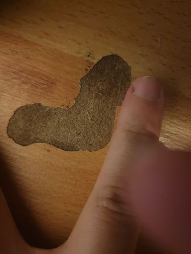 20200731_080652.jpg 20200731_080652.jpg