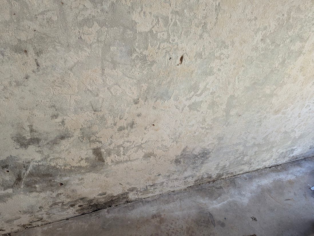 PXL_20250525_233202034.jpg PXL_20250525_233202034.jpg