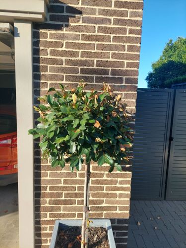 20221230_073722.jpg 20221230_073722.jpg