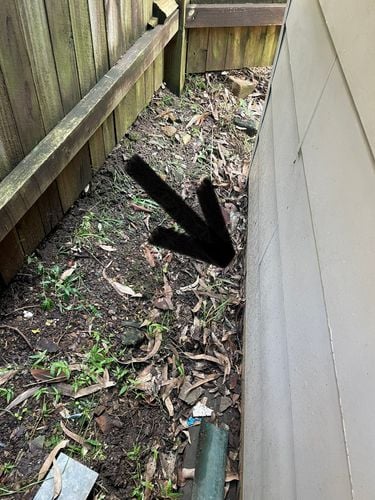 352099FB-9AAE-42ED-9A37-68DEF29F46CA.jpeg 352099FB-9AAE-42ED-9A37-68DEF29F46CA.jpeg