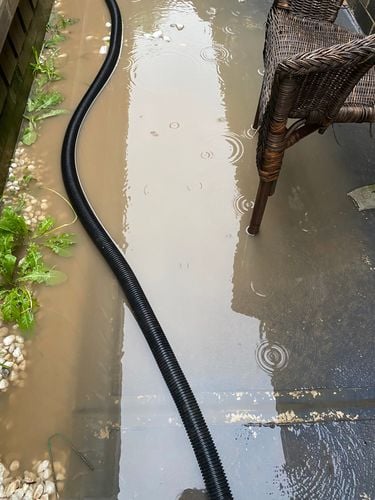 130FB800-5CFE-4CB4-B54C-C85F996ECDE1.jpeg 130FB800-5CFE-4CB4-B54C-C85F996ECDE1.jpeg