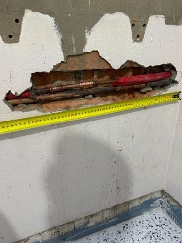 IMG_5564 Medium.jpeg IMG_5564 Medium.jpeg