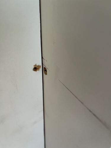 42819525-84B5-42A3-83DA-A7BEED4294FB.jpeg 42819525-84B5-42A3-83DA-A7BEED4294FB.jpeg