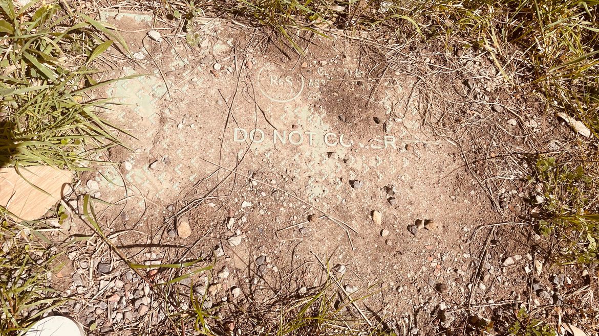 IMG_5680.jpg IMG_5680.jpg