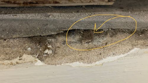 F1BAF0FF-4DEE-4463-8FAD-E55D51D2DDB6.jpeg F1BAF0FF-4DEE-4463-8FAD-E55D51D2DDB6.jpeg