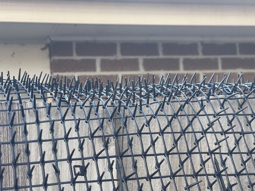 IMG_9263.jpeg IMG_9263.jpeg