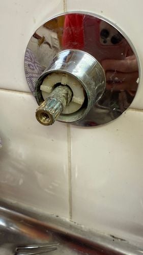 IMG_5939.jpeg IMG_5939.jpeg