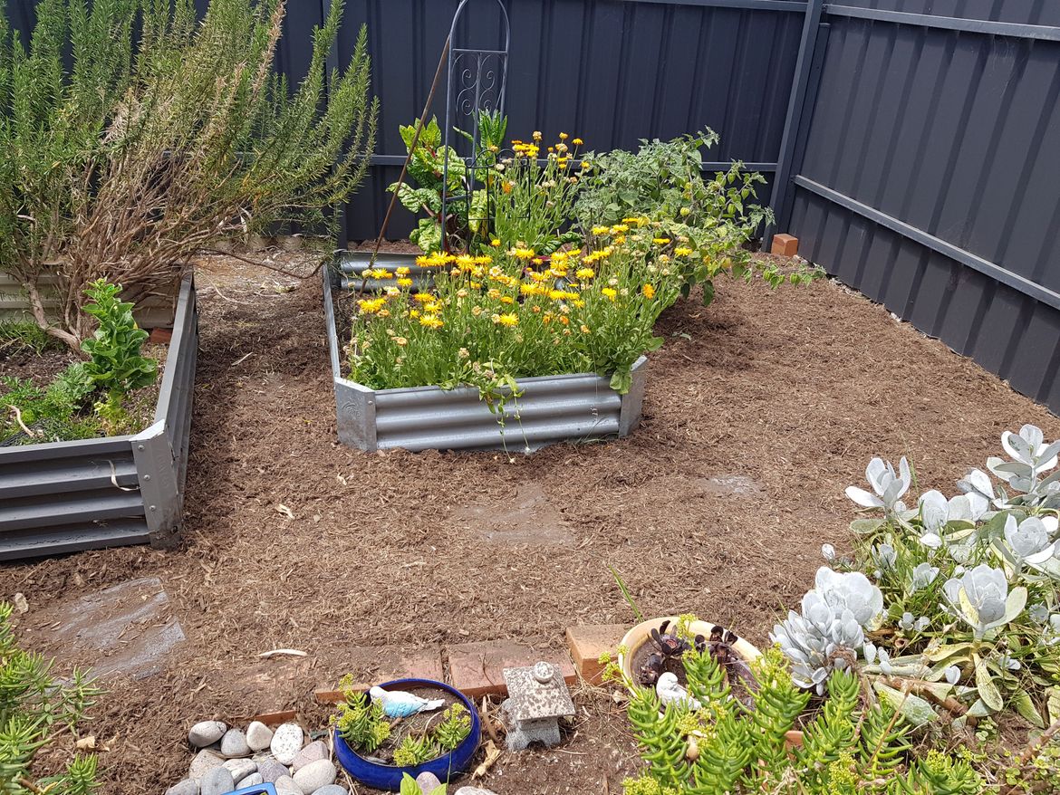 20231103_130713 - Copy (2).jpg 20231103_130713 - Copy (2).jpg