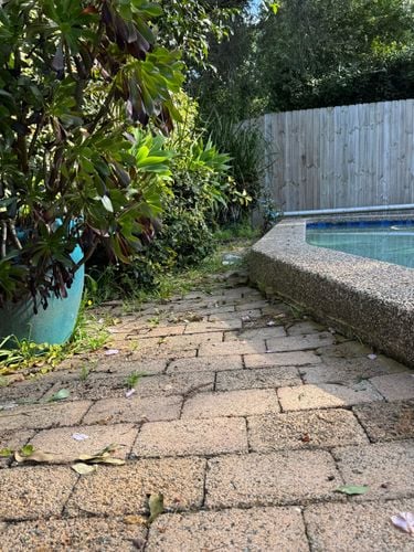 IMG_5778.jpeg IMG_5778.jpeg