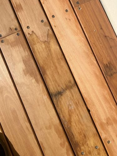 IMG_1758.jpeg IMG_1758.jpeg