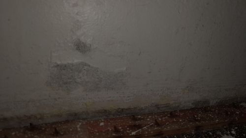 20221021_202515.jpg 20221021_202515.jpg