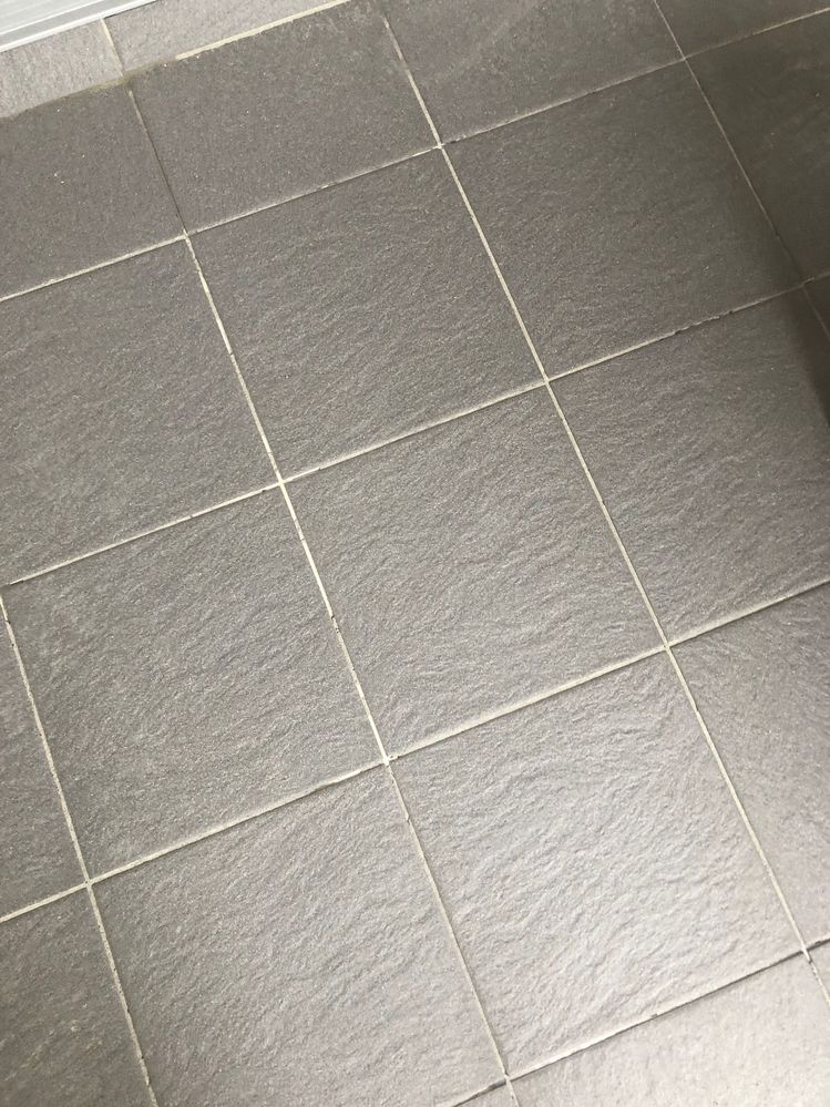 IMG_1057.jpg IMG_1057.jpg