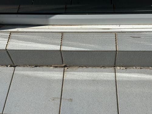 IMG_7289.jpeg IMG_7289.jpeg