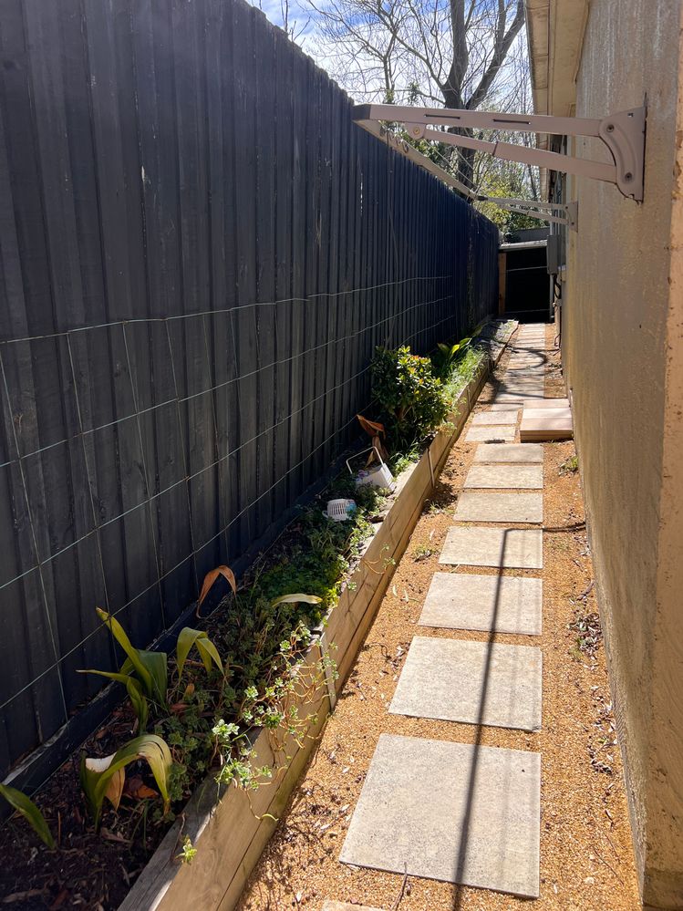 IMG_9488.jpeg IMG_9488.jpeg