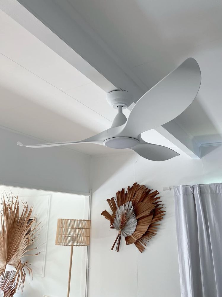 IMG_3950.jpeg IMG_3950.jpeg