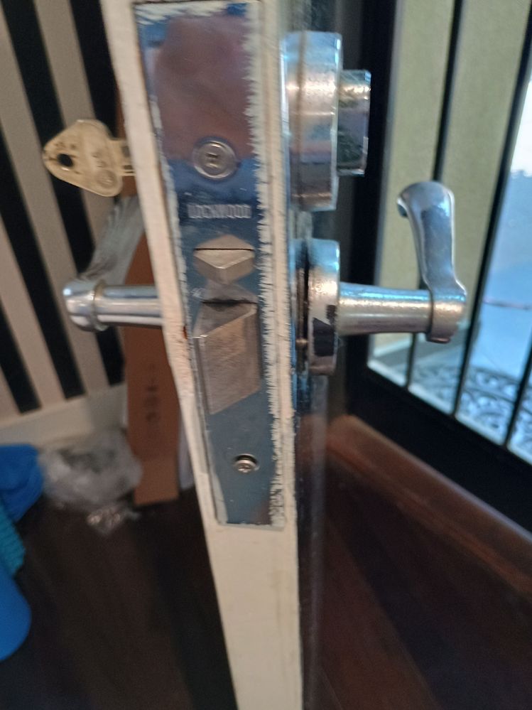 IMG_20260112_134308287_HDR.jpg IMG_20260112_134308287_HDR.jpg