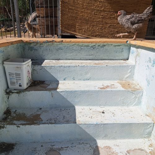 20250129_164708.jpg 20250129_164708.jpg