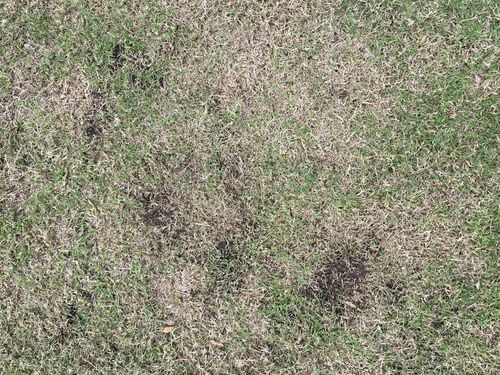 IMG_5517.jpeg IMG_5517.jpeg