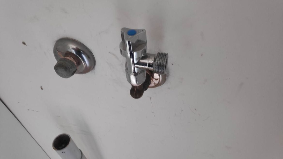 c6bf29f1-c80e-465b-a988-962515690b96.jpeg c6bf29f1-c80e-465b-a988-962515690b96.jpeg