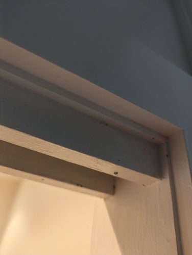 1000029122.jpg 1000029122.jpg