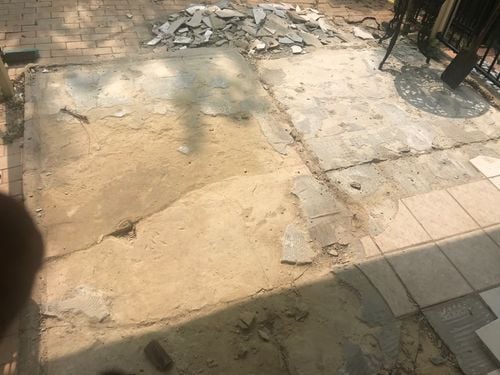 IMG-7401.jpg IMG-7401.jpg