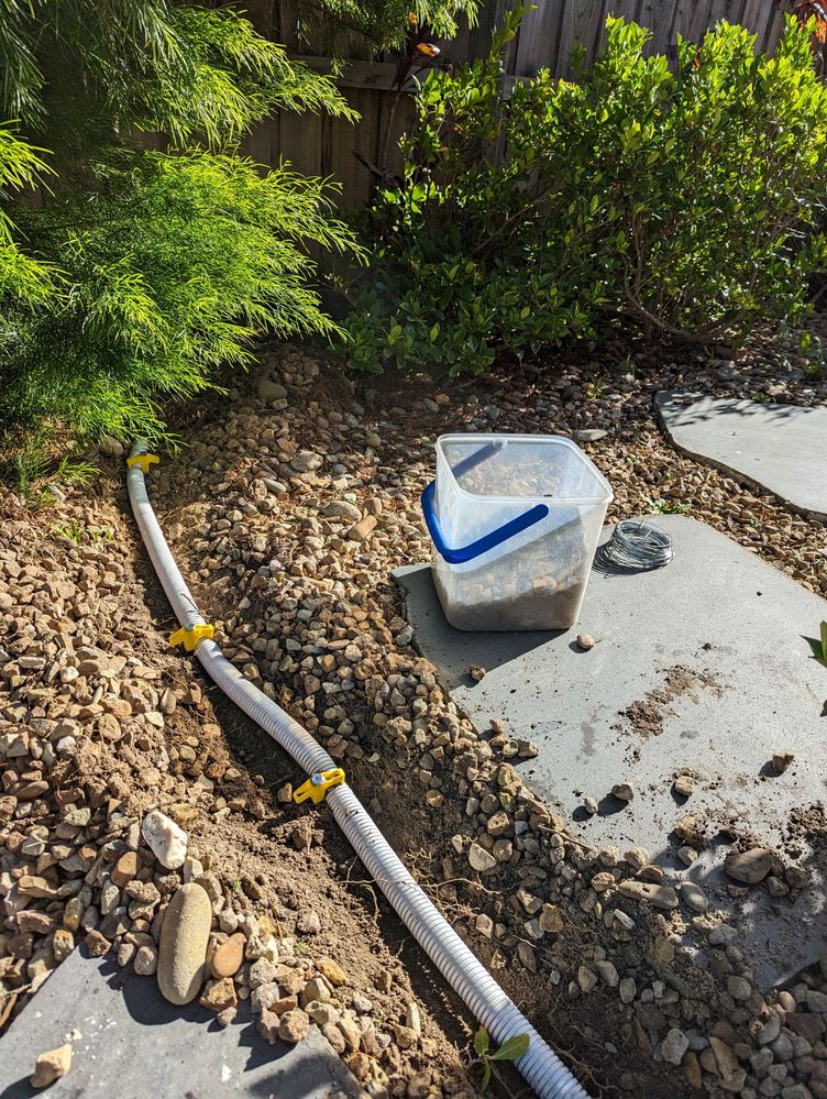 PXL_20230617_023449463.jpg PXL_20230617_023449463.jpg