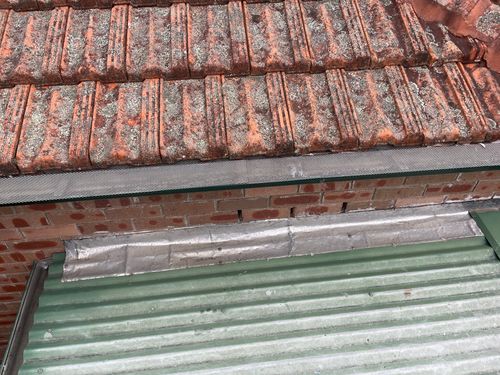 IMG_6145.jpeg IMG_6145.jpeg