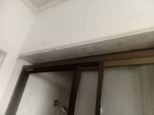 IMG_20240323_142725.jpg IMG_20240323_142725.jpg