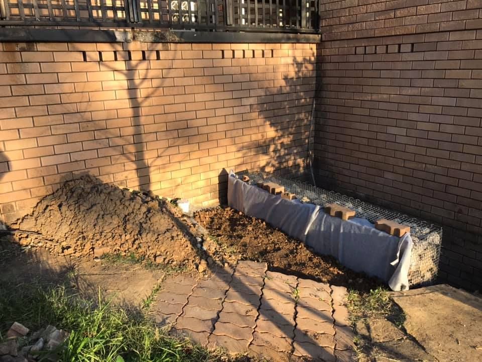 30 14-08-2021.jpg 30 14-08-2021.jpg