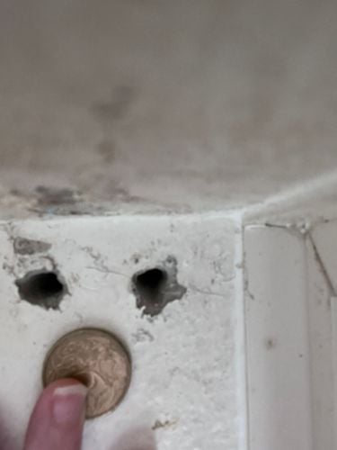 IMG_2501.jpeg IMG_2501.jpeg