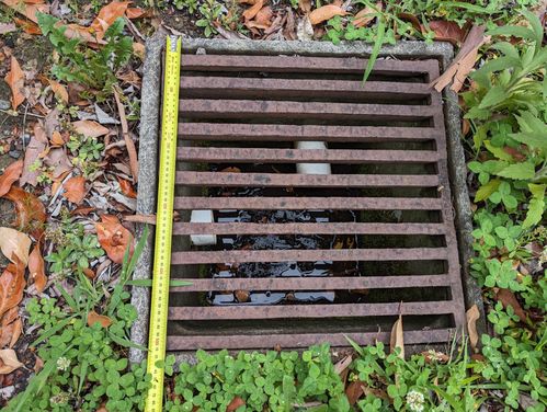 PXL_20231124_051632544.jpg PXL_20231124_051632544.jpg