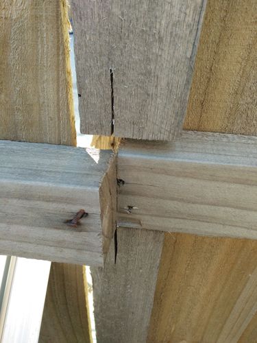 IMG20200910084101.jpg IMG20200910084101.jpg