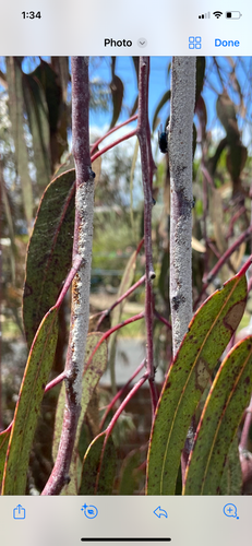 IMG_7731.png IMG_7731.png