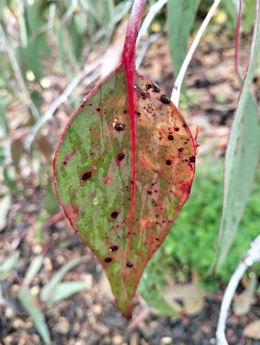 1000002635.jpg 1000002635.jpg